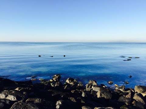Photo: Snorkel and Dive Safari Altona Beach Photo: Snorkel and Dive Safari Altona Beach